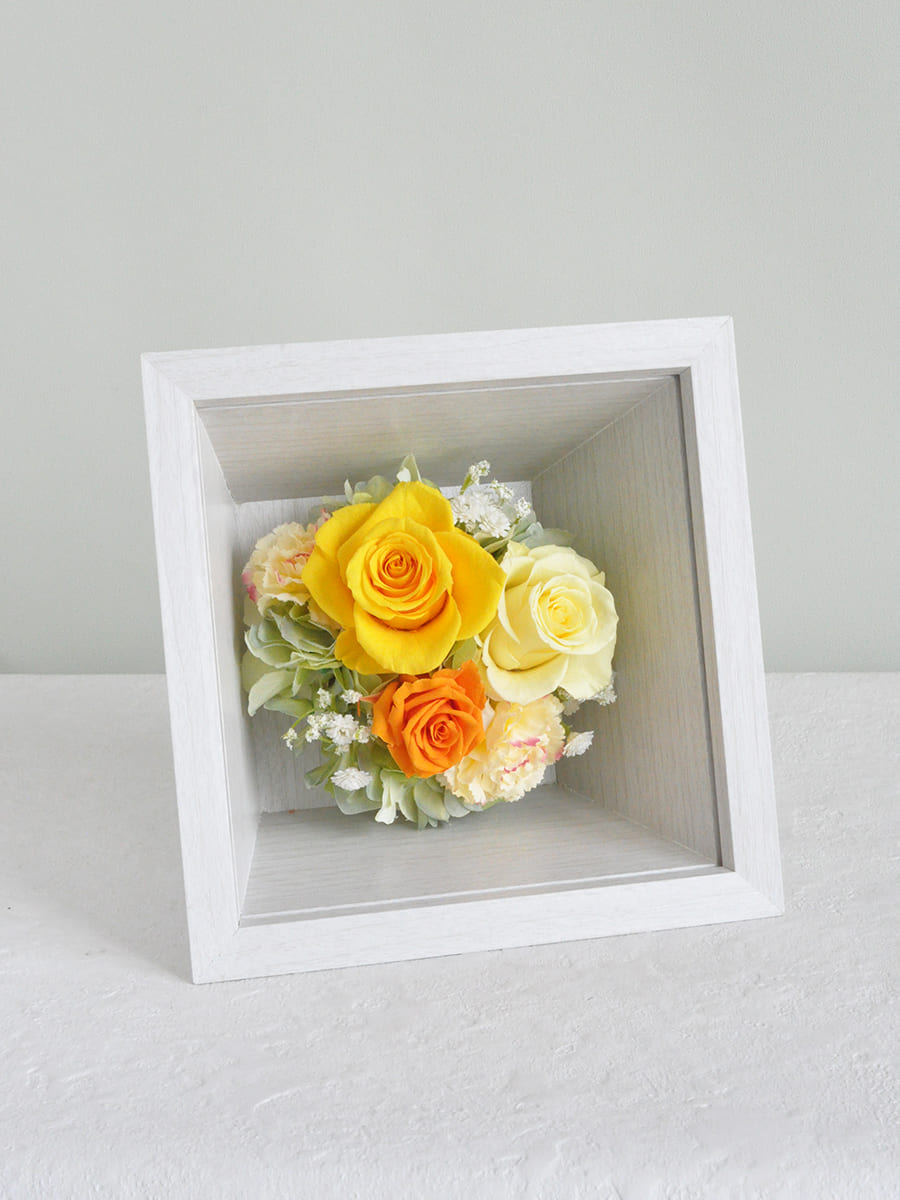 体験レッスン 画像1